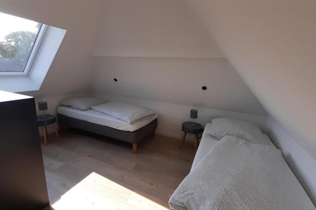Fh Magnolia Fuer 12 Pers. Mit Terrasse + Dachterasse Vila Born Exterior foto